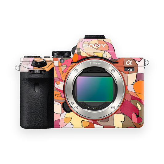 Noisy Camo Camera Skin