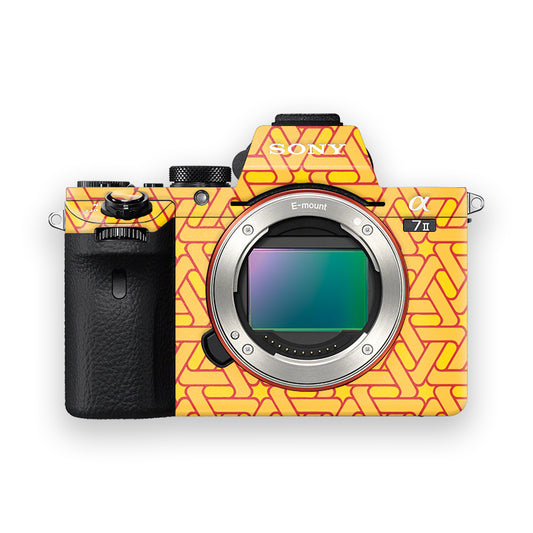 Tri Angle Family Camera Skin