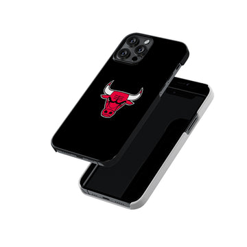 Chicago Bulls Slim Hard Case