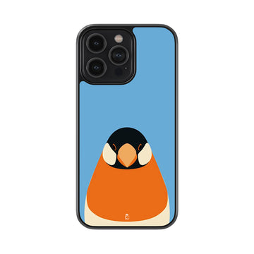 Peek On Boo Glossy Metal Case