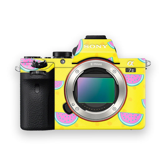 Water Melons Camera Skin