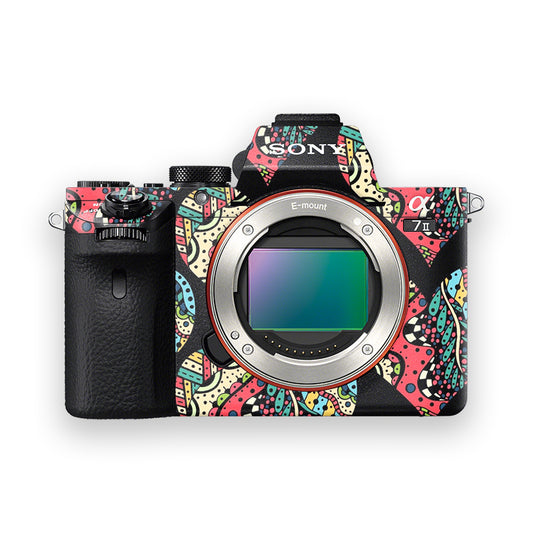 Traditional Art Camera Skin