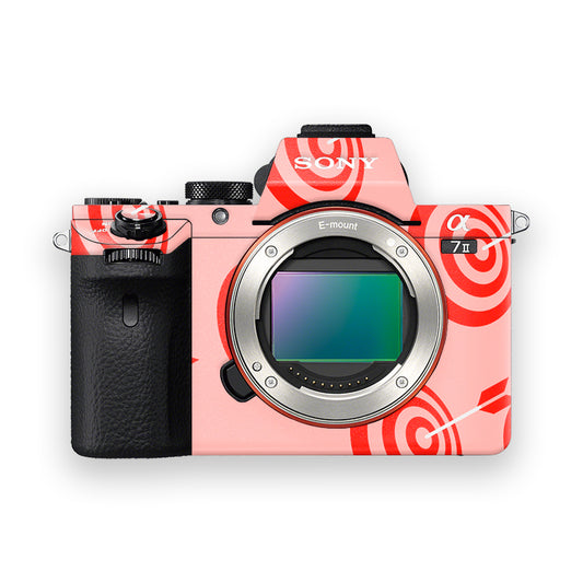 Hit The Target Camera Skin