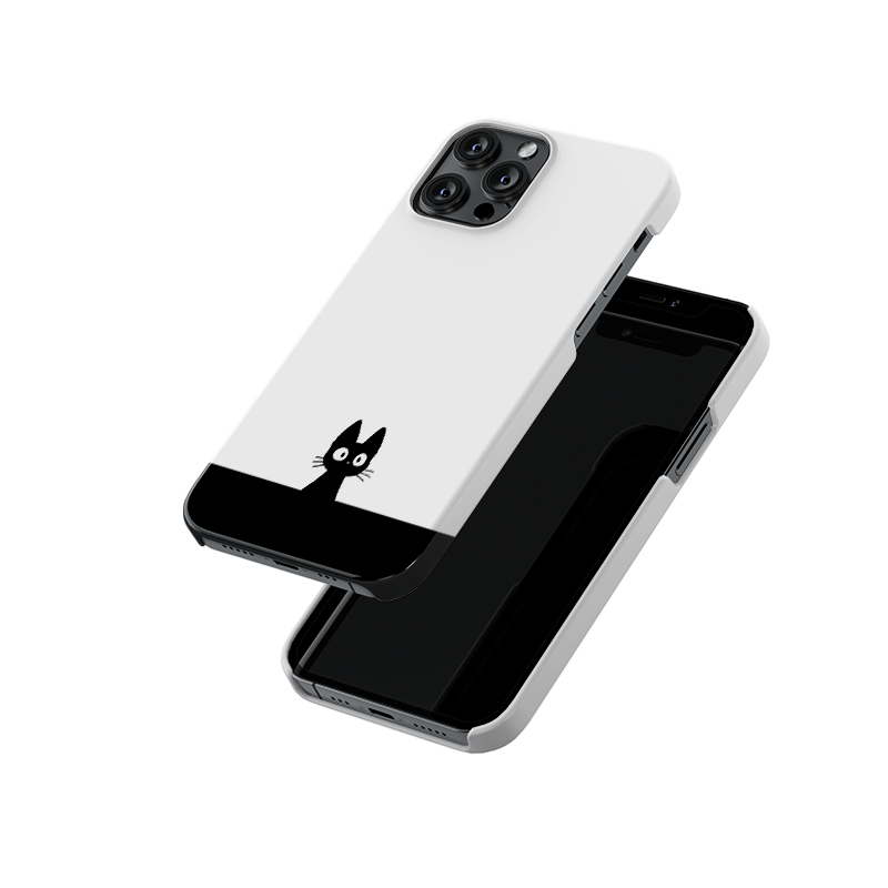 Crazy Cat Slim Hard Case