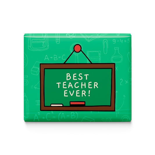 Best Teacher Ever Fridge Magnet